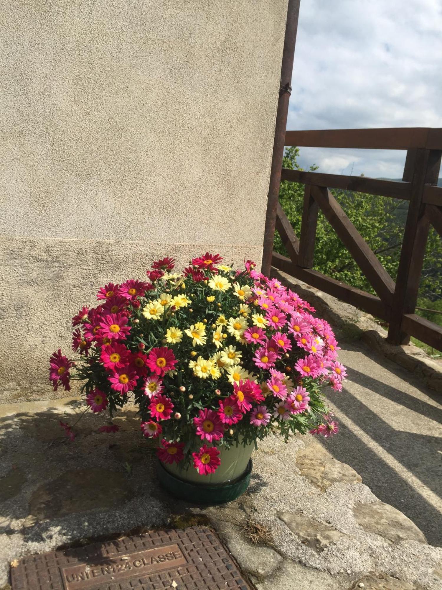 Residenza Cima Le Vigne Bed & Breakfast Millesimo Стая снимка